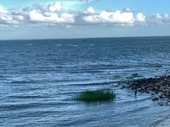 -北海金海湾红树林生态旅游区