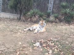 -西安秦岭野生动物园