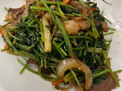 孜然炒羊肉-那达慕蒙古风味酒楼