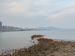 -小麦岛公园