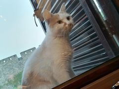 -老阊门菜馆(山塘街店)