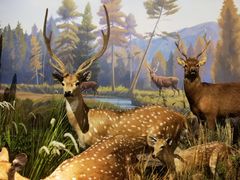 -陕西自然博物馆