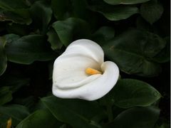 iphone_upload_pic-汇龙潭