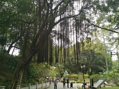 -晓港公园