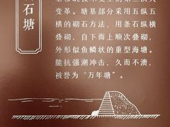 -观潮胜地公园