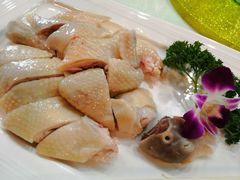 白切鸡-今生友约酒家(大石城店)