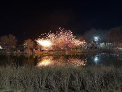 -大塘金香草谷