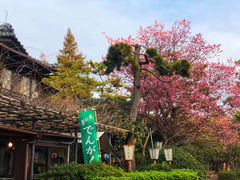 -名古屋城