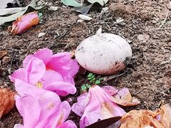 -杭州六谷生态休闲农庄有限公司