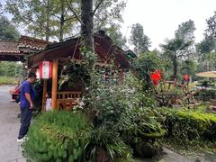 -青城甲(青城山店)