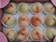 -南汇新场正宗水蜜桃采摘