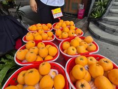-枇杷园食为鲜火锅(南山店)