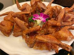 脆皮乳鸽-新南华大酒店(长寿店)