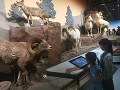 -陕西自然博物馆