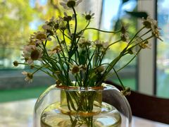 -Margherita雏菊意大利餐厅(雅颂庭购物中心店)