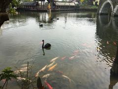 -茵特拉根酒店·西餐厅