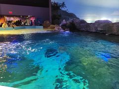 -瑞普利水族馆