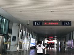 -海口东站