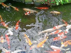 -聚福宝合苑食府(南头镇店)