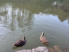 -杭州植物园