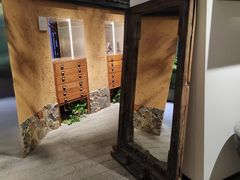 -大视光学•LINDBERG林德伯格•全球手工眼镜集合店(王府井店)
