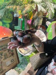 -酷嗒动物文化乐园(cutezoo西溪乐天城店)