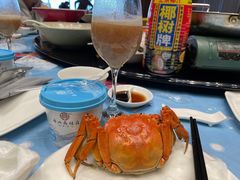 -高佳庄·舟山海鲜(海景旗舰店)