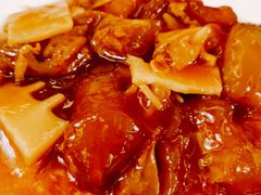 红烧蹄筋-烤肉宛饭庄(南礼士路店)