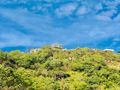 -广东惠东海龟国家级自然保护区