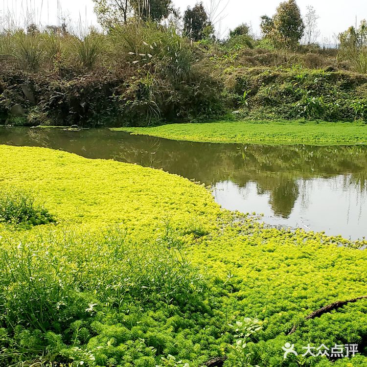 花房子湿地公园