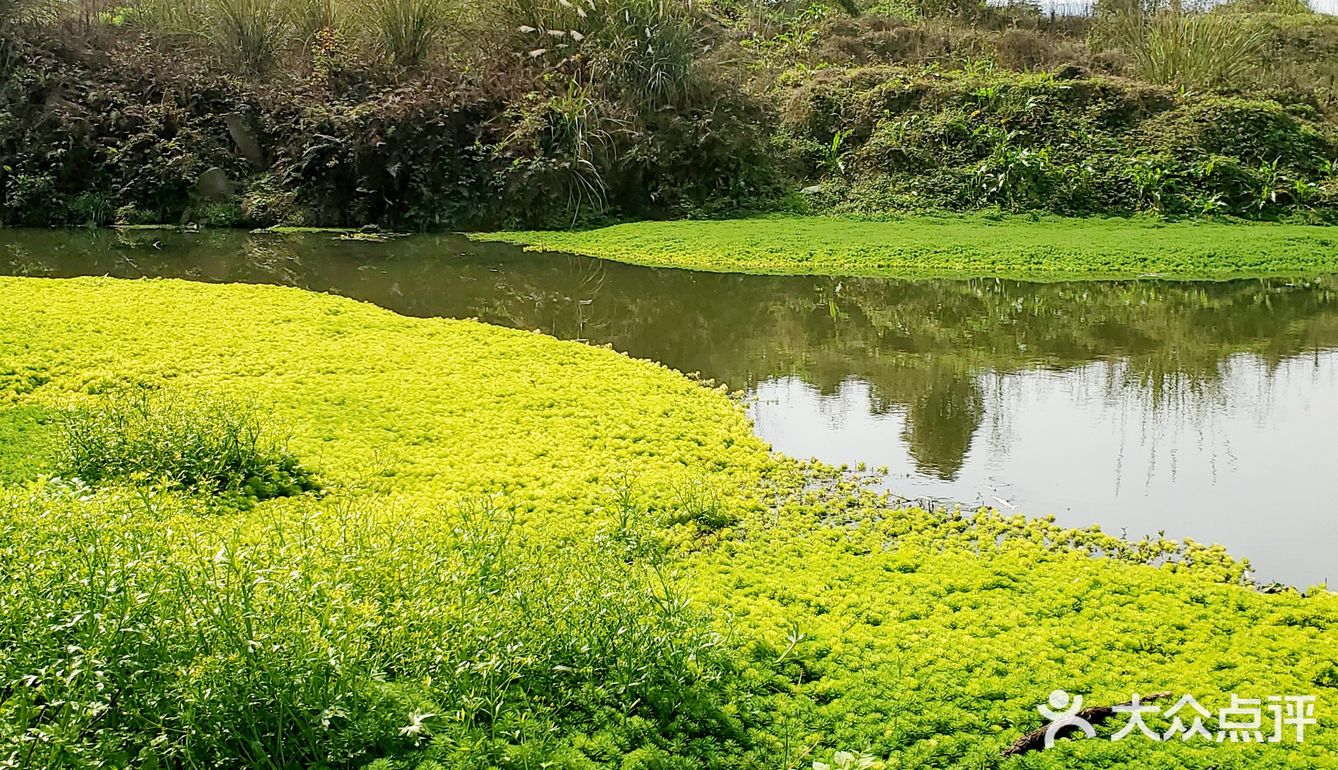 花房子湿地公园