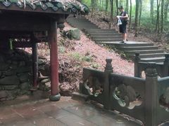 -凤栖山