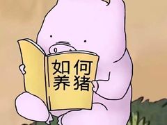 -盒马鲜生(双清路店)