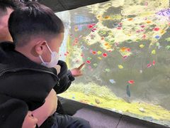 -苏州海洋馆