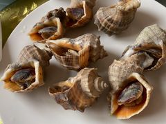 原味海螺-景祥海鲜美食餐厅