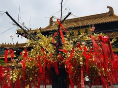 -南京市江宁方山