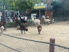 -大连森林动物园