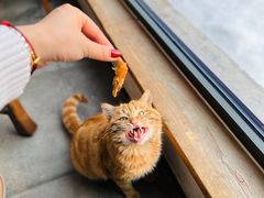 官厅小河虾-荷府私房菜