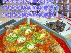 -鱼酷活鱼烤鱼(新世界城店)