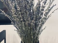 -大隐国际青年旅舍(上海陆家嘴东方明珠店)