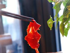 -四喜小胖·北京涮肉(五道营店)