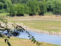 -北京麋鹿生态实验中心