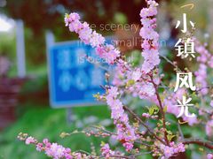 -大宁公园