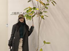 -成都市活水公园