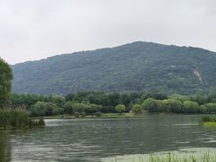 -长广溪湿地公园