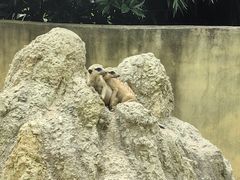 -宁波野生动物园