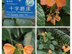 -国家植物园南园