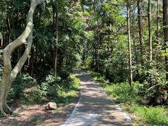 -青龙山国家森林公园