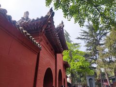 -洛阳白马寺