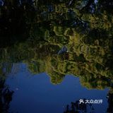 游宁波「景」令人流连忘返富有历史底蕴和人文景观的城市湖泊公园